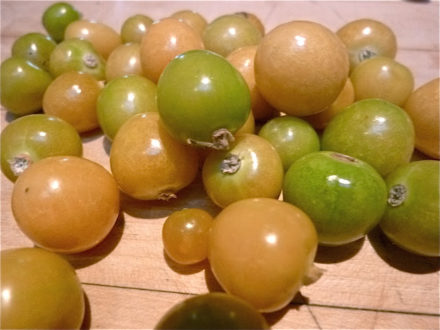 Ground Cherries