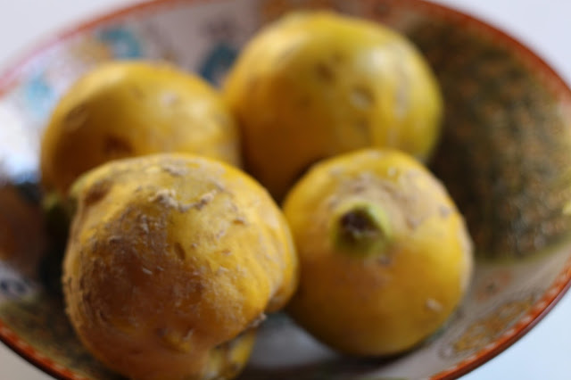 Quince in a bowl