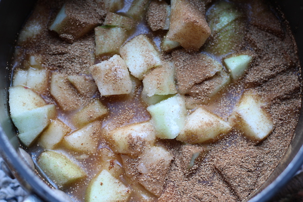 no churn Apple Pie Spice Sorbet