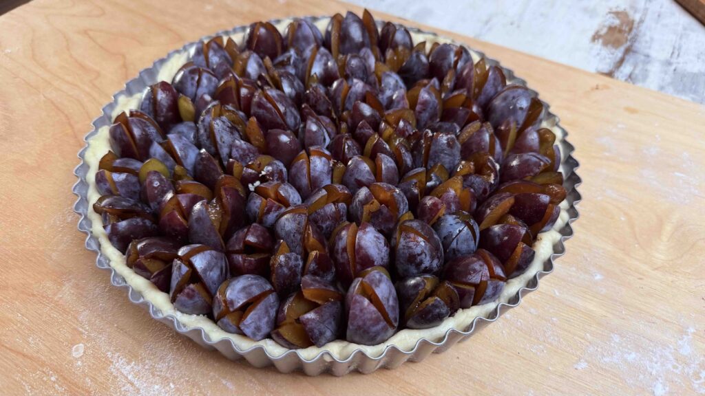 German Plum Tart