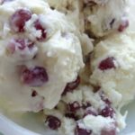 coconut pomegranate ice cream