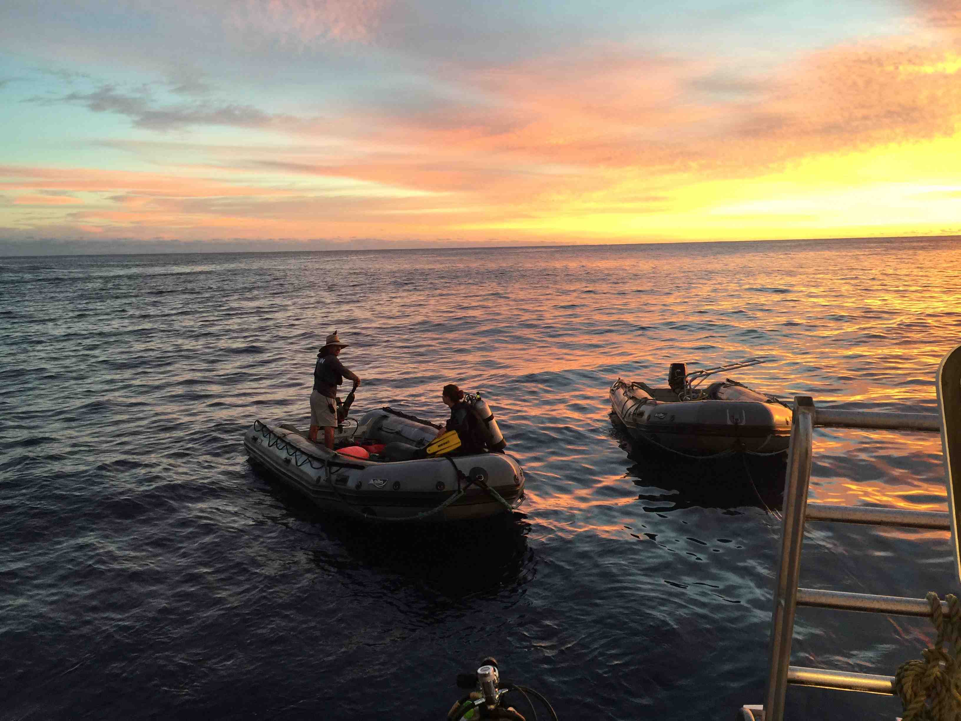 Socorro Islands Mexico
