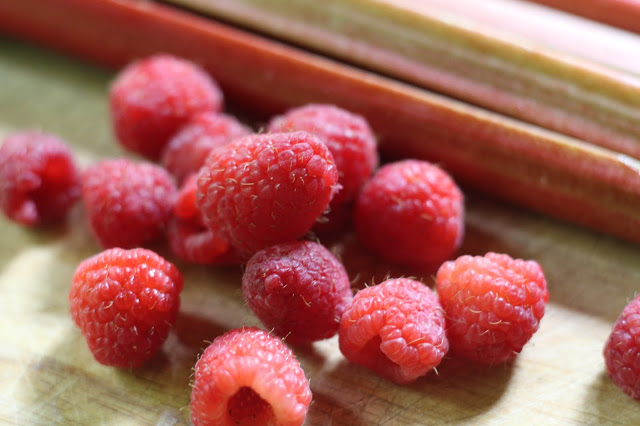 Rhubarb and Raspberries