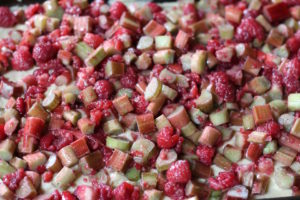 Rhubarb Raspberry Streusel Cake