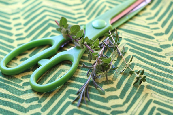 Fresh Herbs Scissors