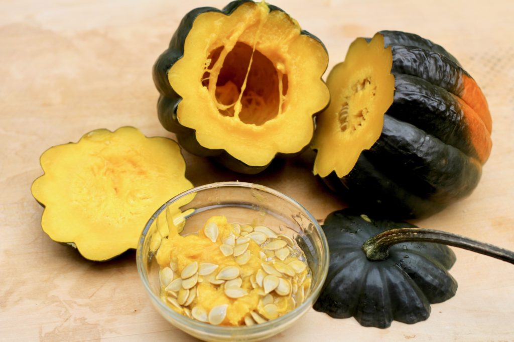 Acorn Squash