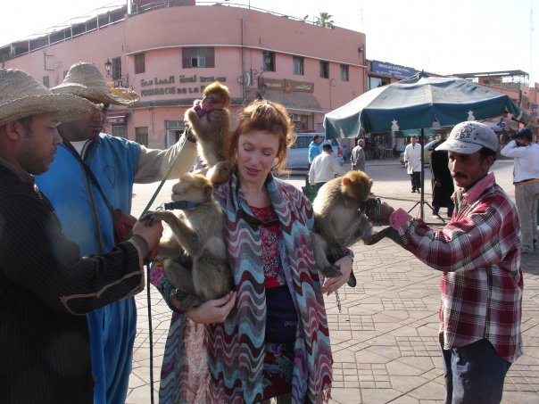 Monkeys in Marrakesh