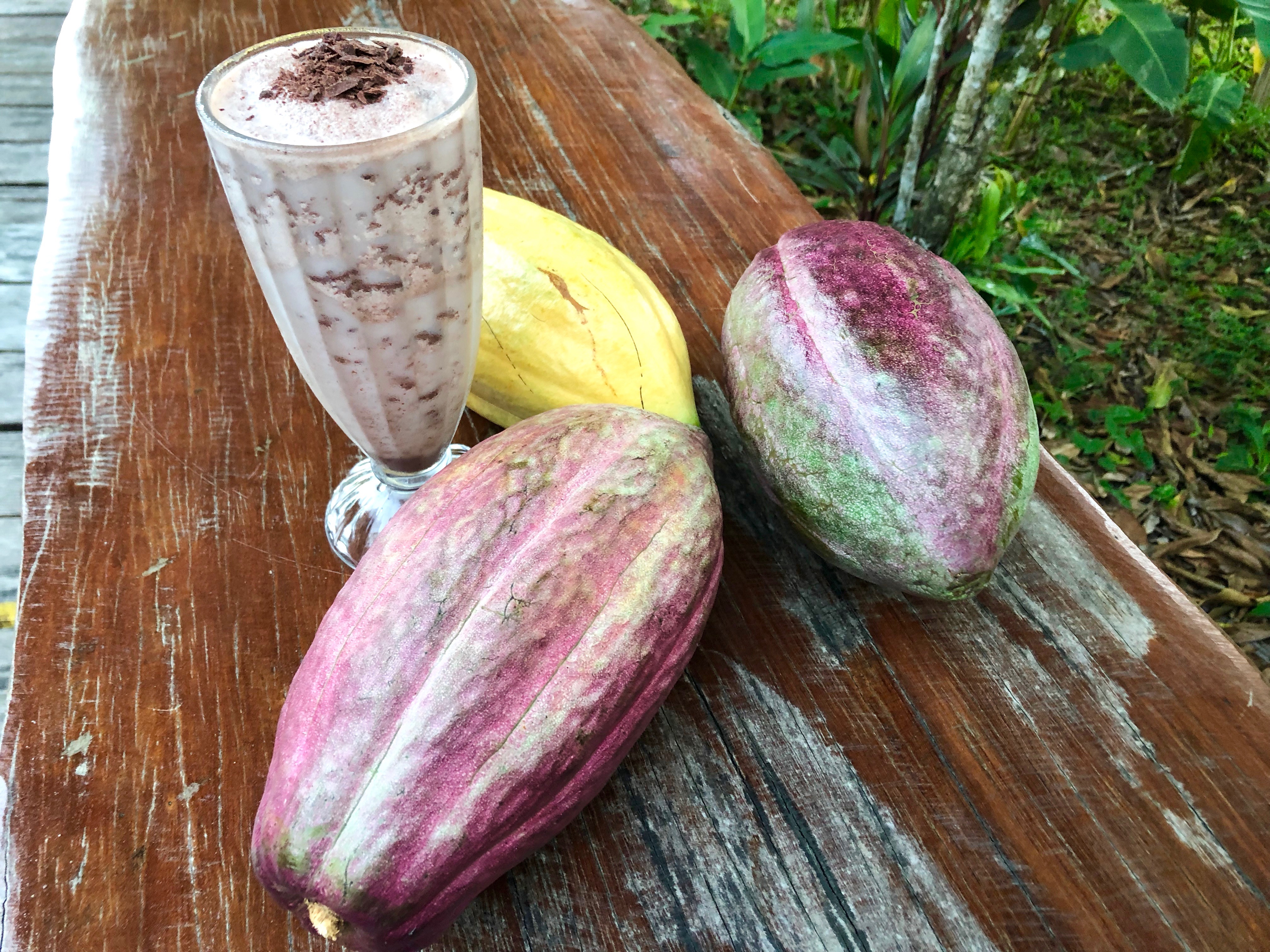 FROZEN CHOCOLATE COLADA