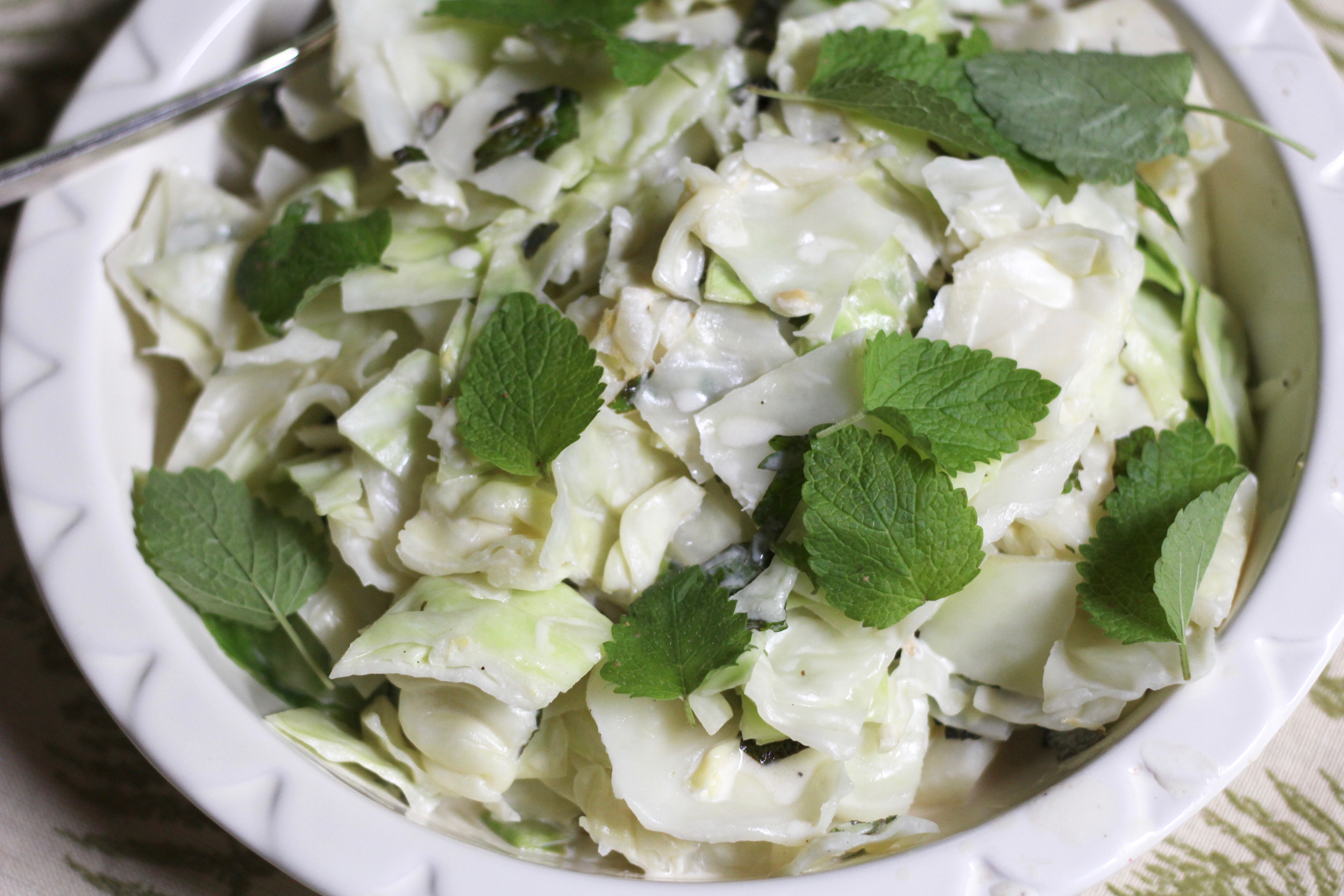 LEMON BALM CREAM CABBAGE