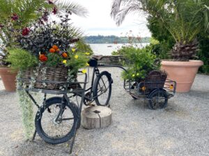 8 Beautiful Bodensee Stops- Mainou Insel flower bicycle