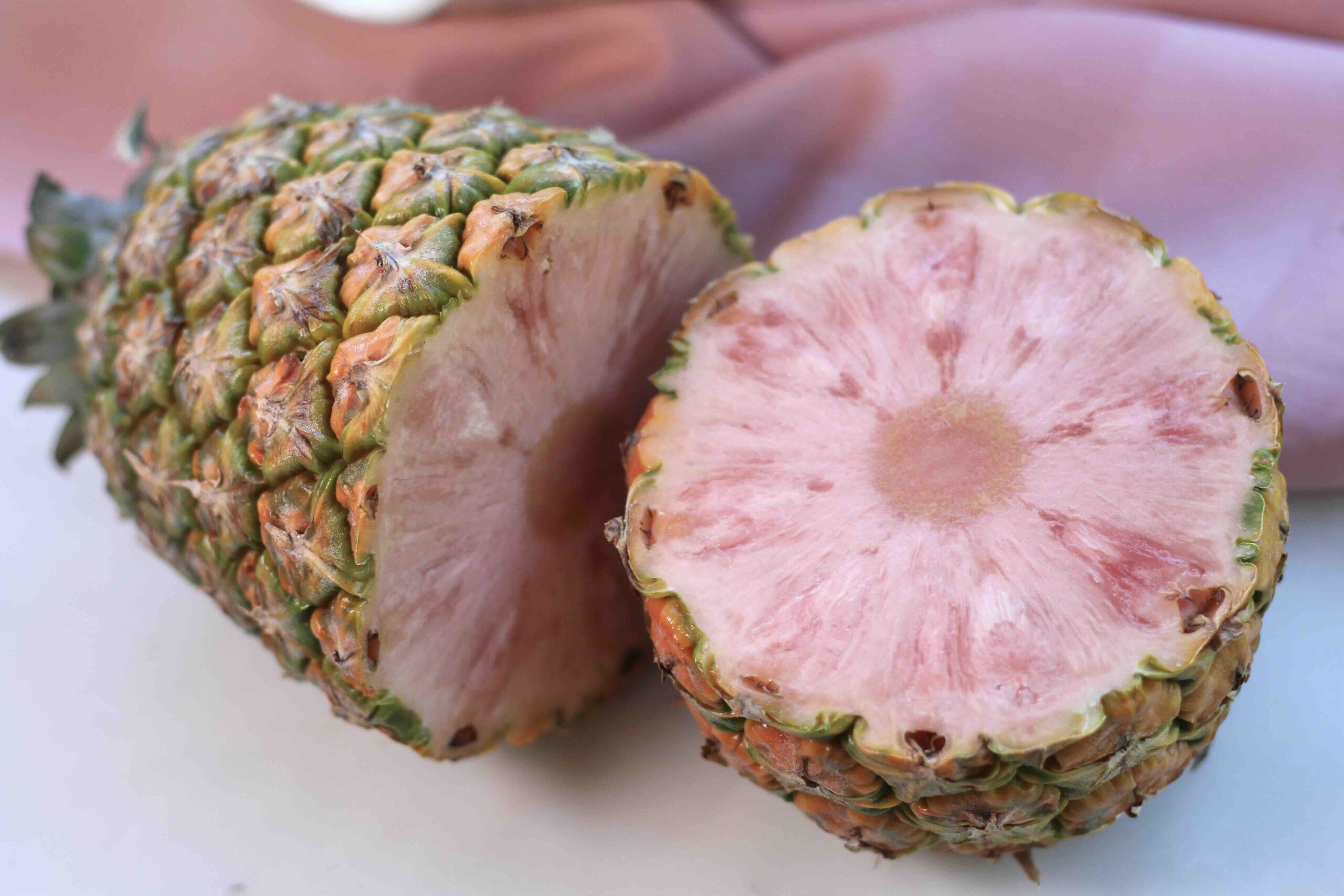 Pinkglow Pineapple