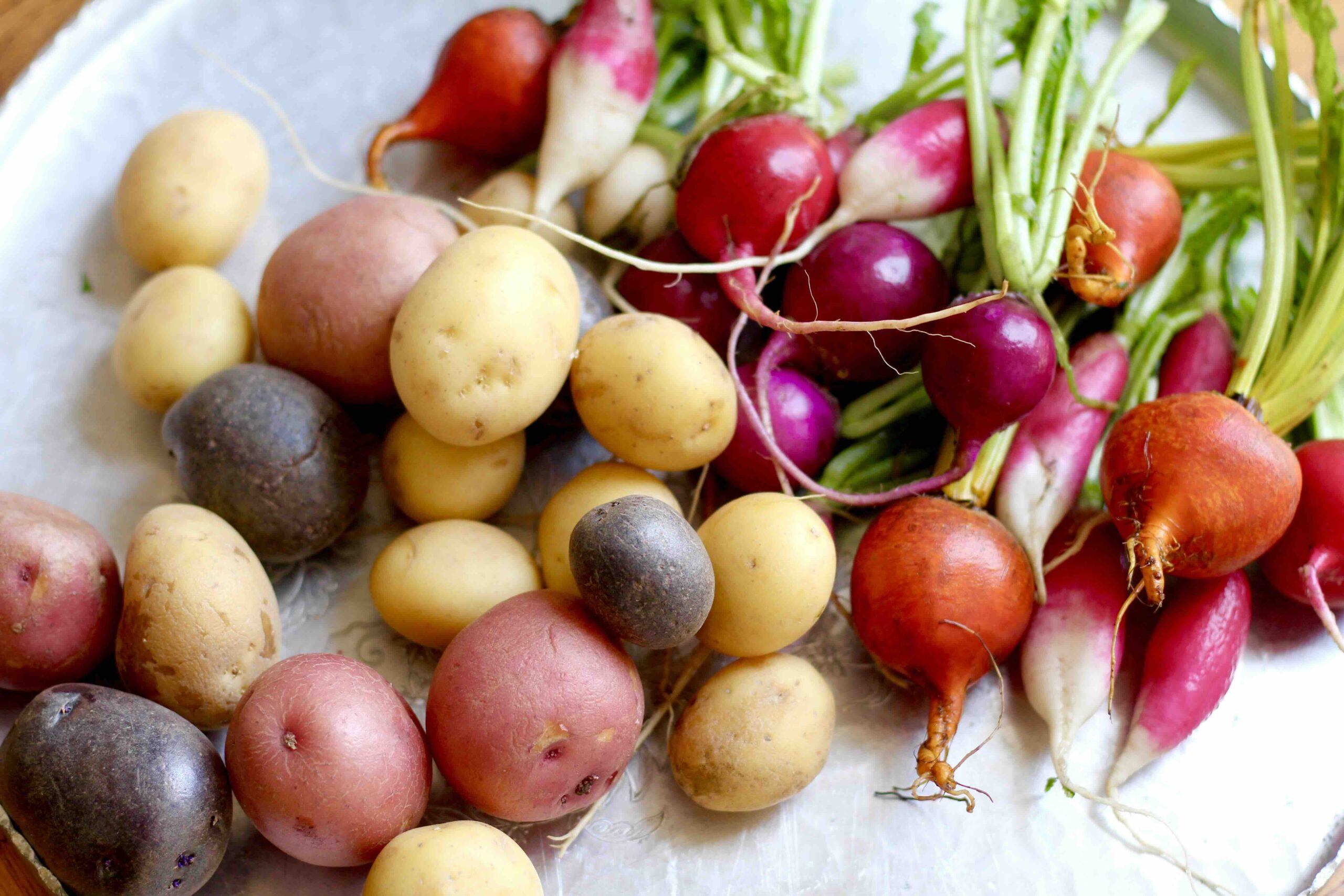 Colorful potatoes, beets, and radishes