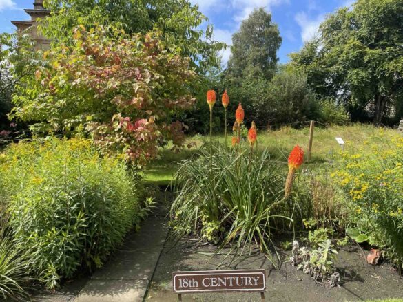 6 Gorgeous Glasgow Stops - Glasgow Botanical Gardens