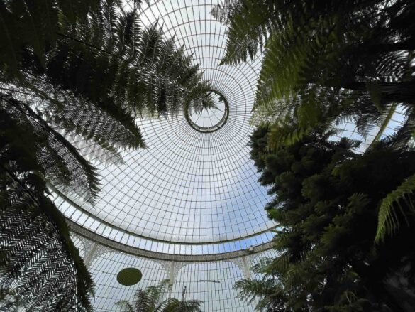 6 Gorgeous Glasgow Stops - Glasgow Botanical Gardens