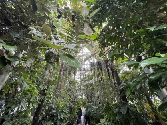 6 Gorgeous Glasgow Stops - Glasgow Botanical Gardens