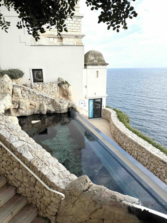 Meandering in Majestic Monaco - Musée Océanographique de Monaco