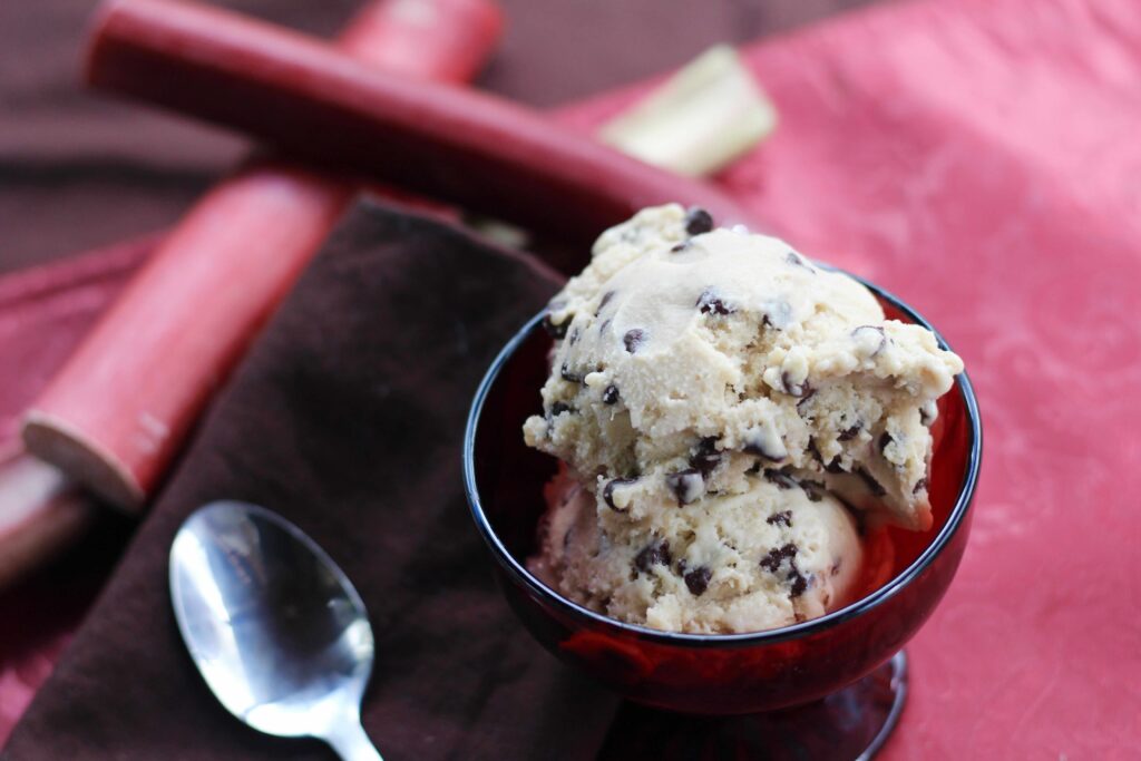 Rhubarb Chocolate Chip Ice Cream