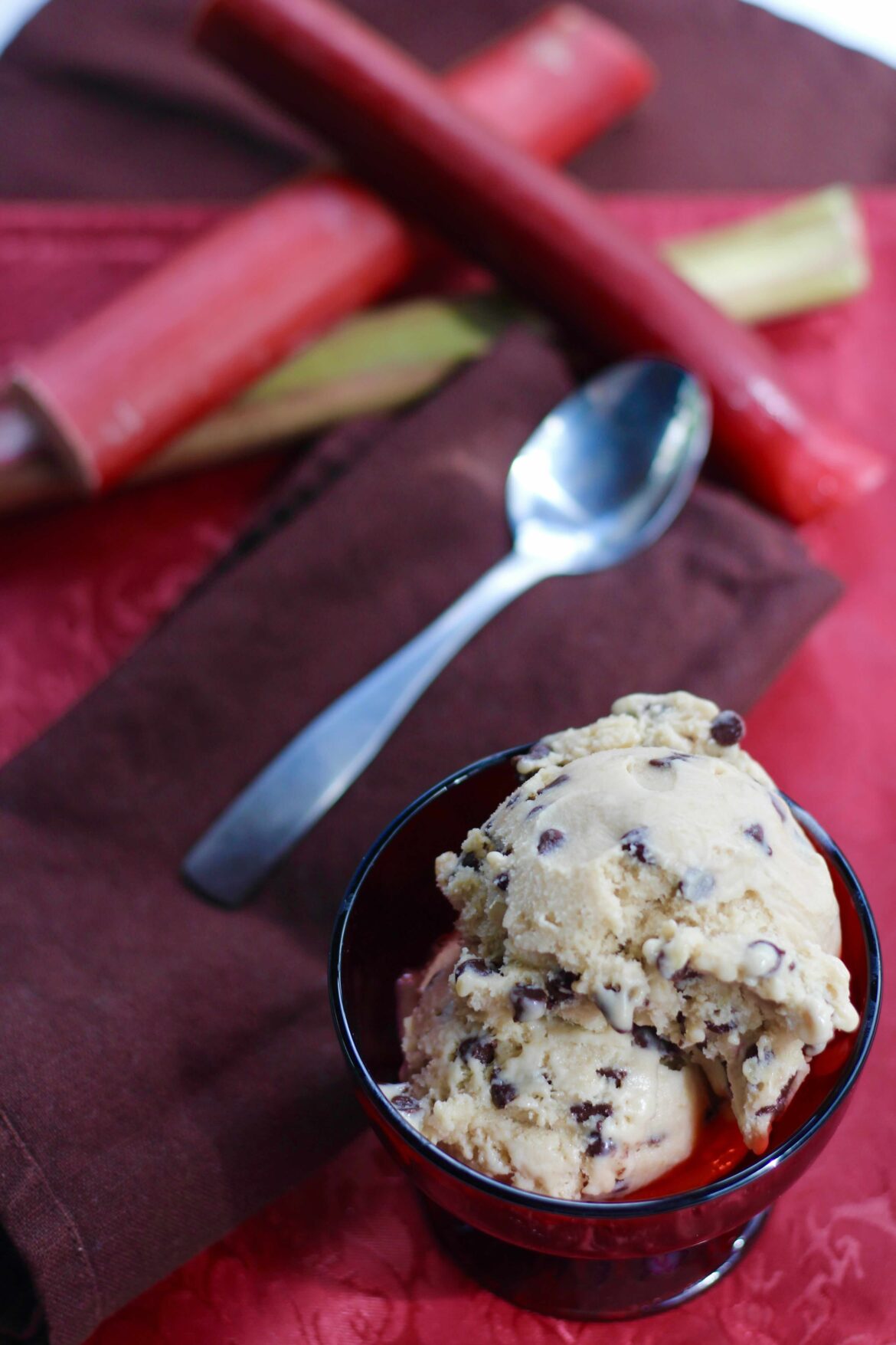 Rhubarb Chocolate Chip Ice Cream