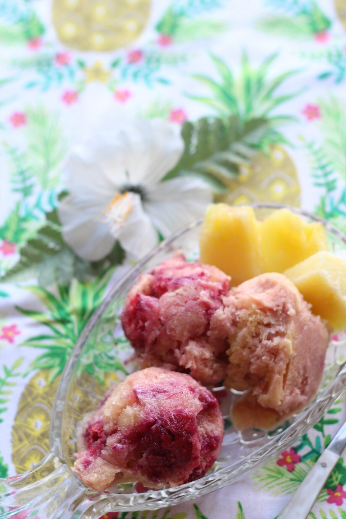Tropical Paradise Sorbet