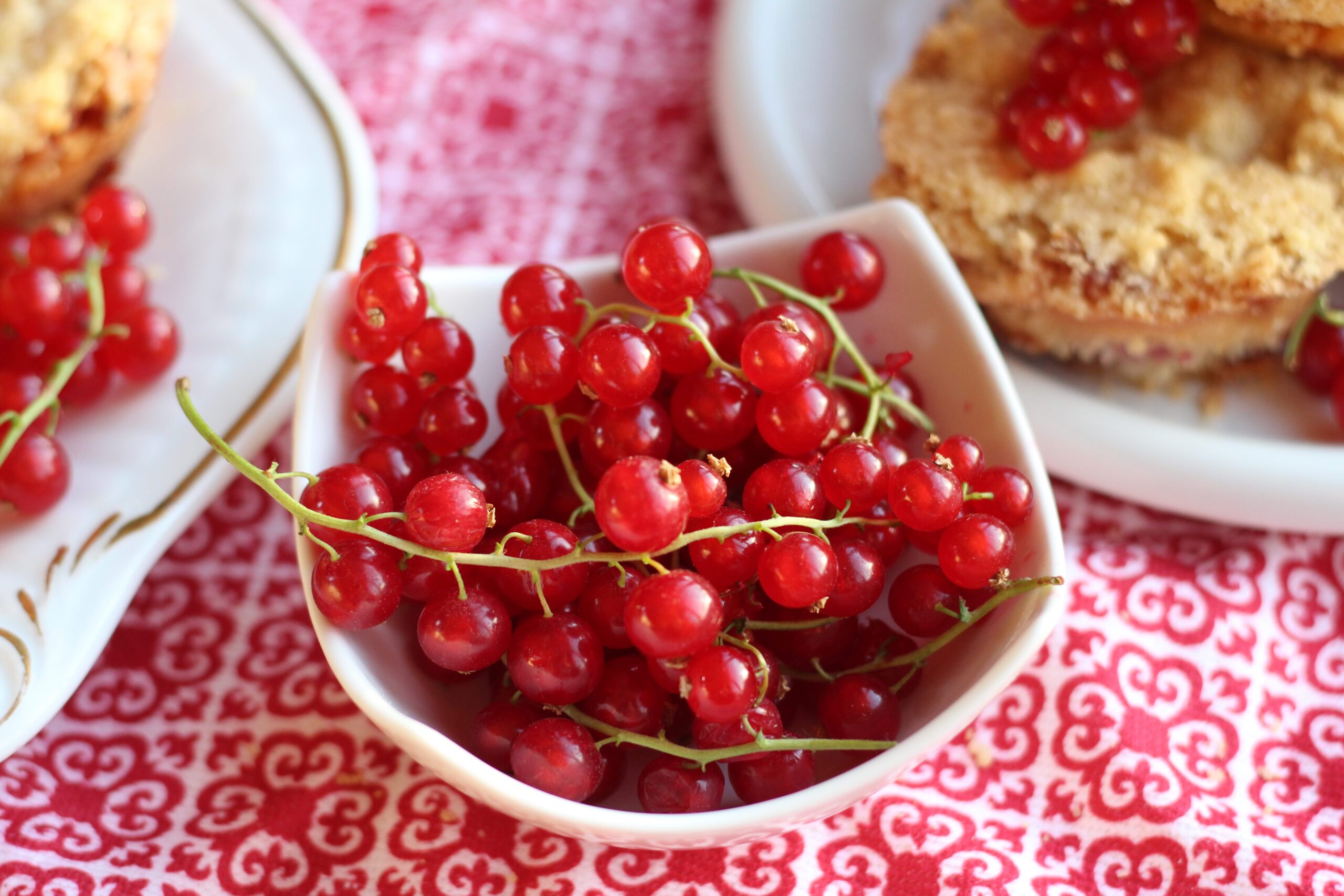 Red Currants