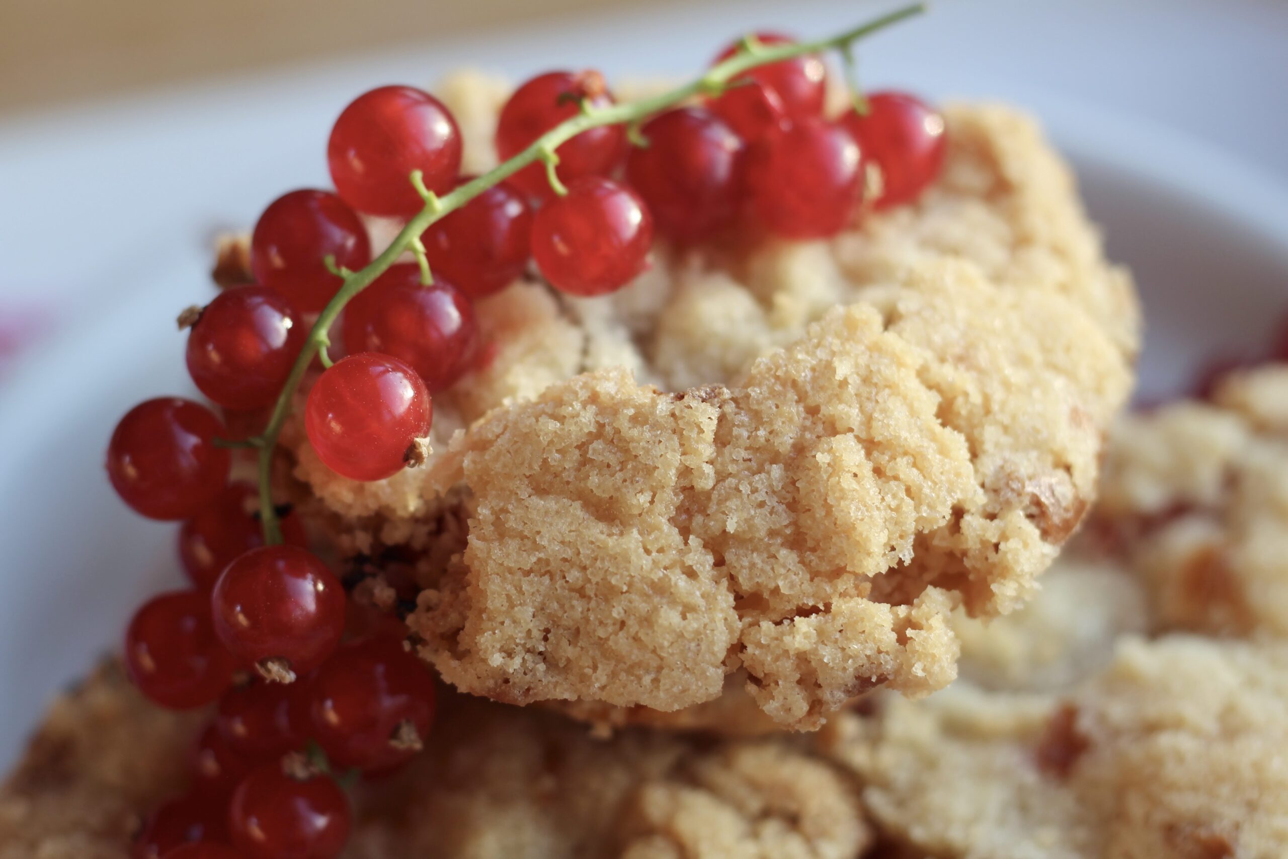 White Chocolate Currant Streusel Muffins