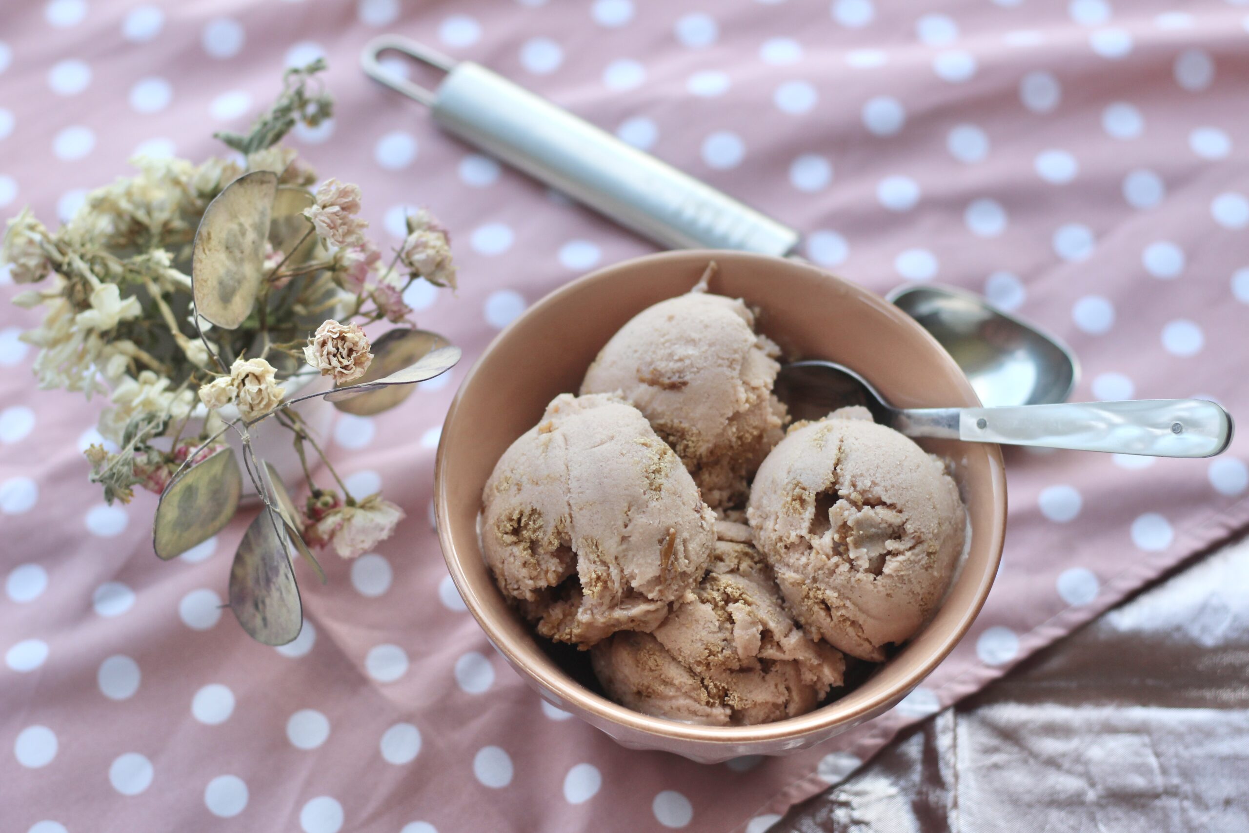 Plum Streusel Ice Cream