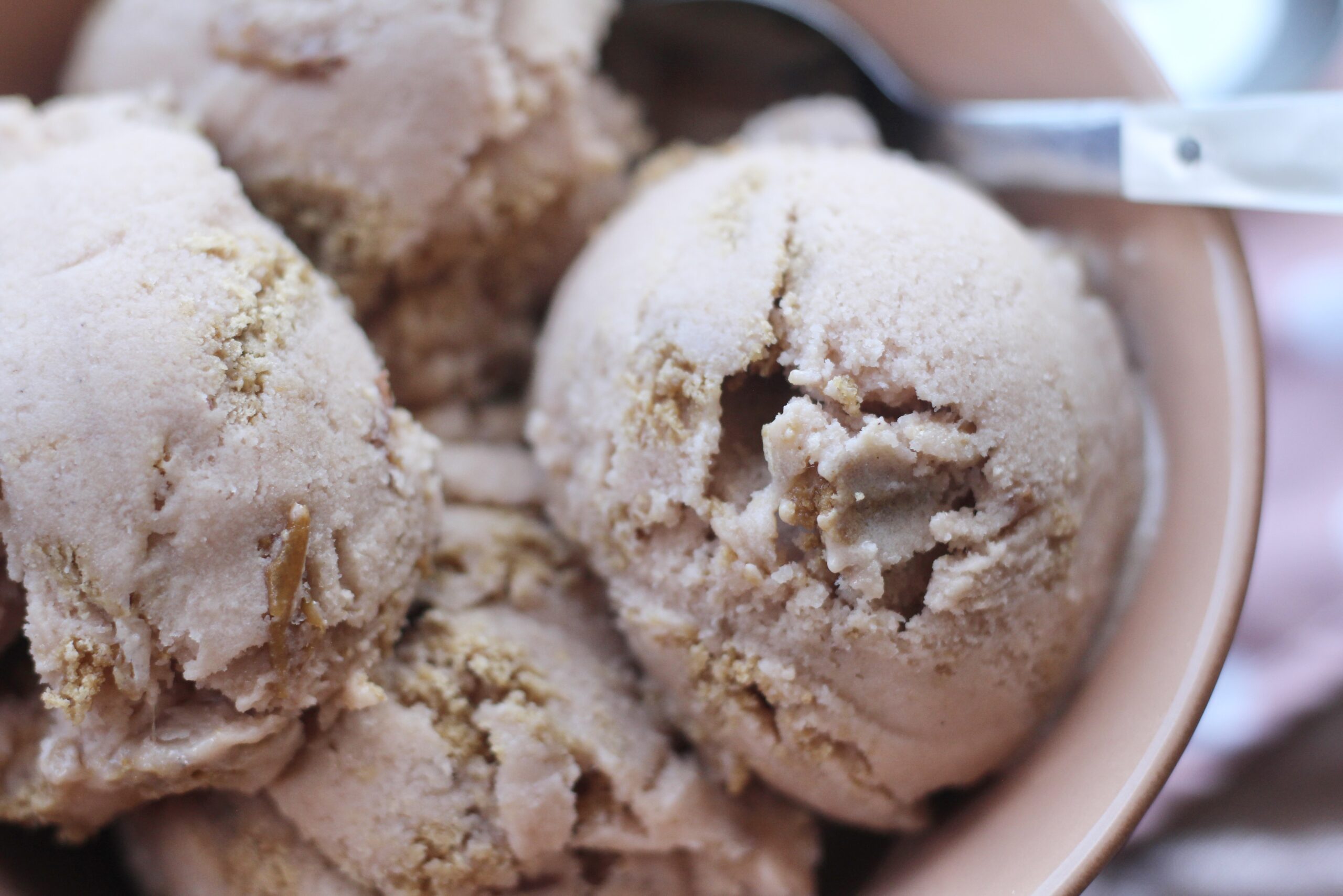 Plum Streusel Ice Cream
