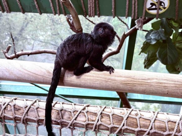 Vienna's Treasures - Haus des Meeres