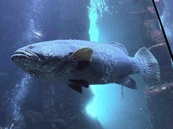 Vienna's Treasures - Haus des Meeres