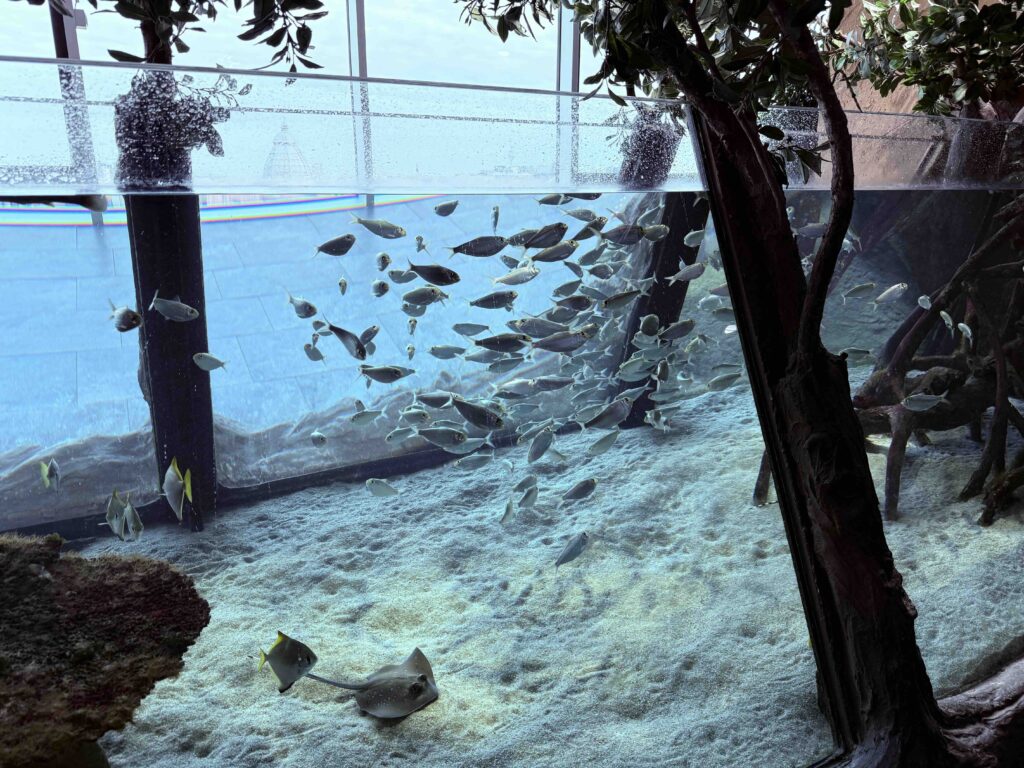 Vienna's Treasures - Haus des Meeres 