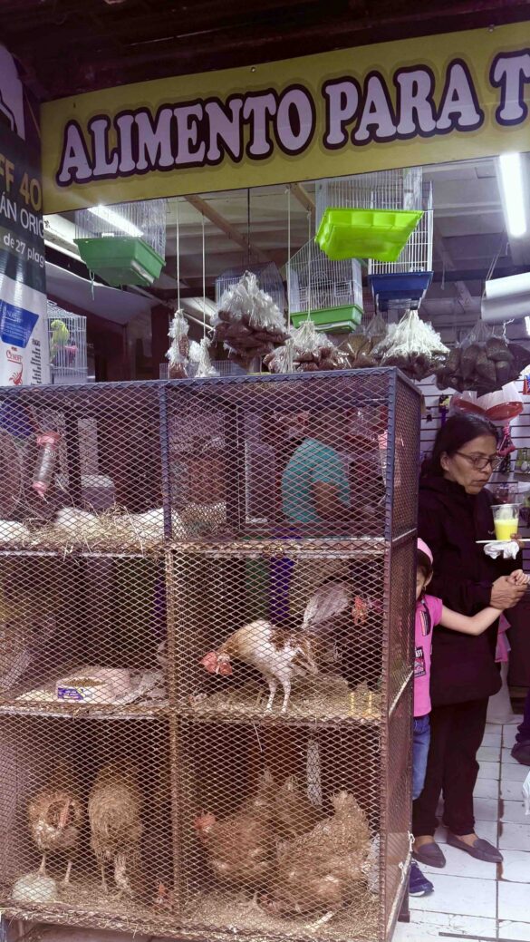 Mercado Centrale San José Costa Rica