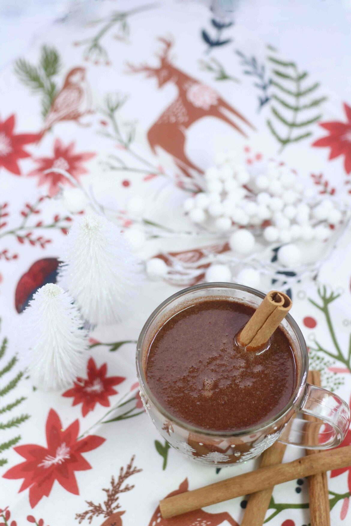 Mulled Wine Hot Chocolate