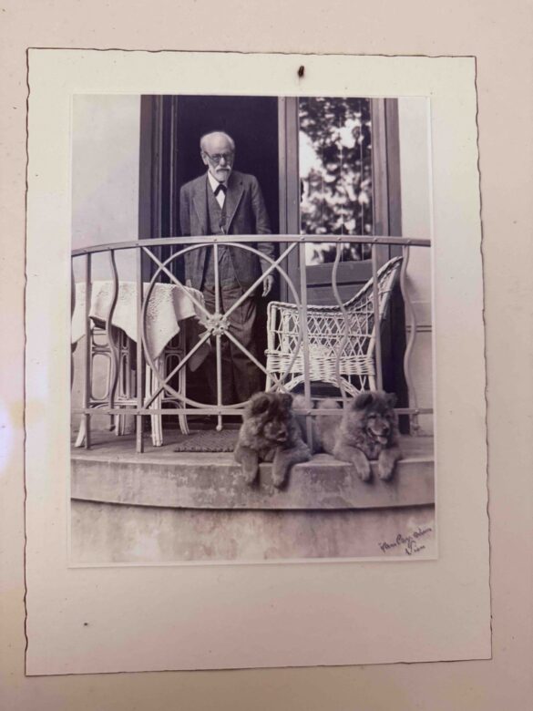 Jewish Vienna: Memory Matters Sigmund Freund Museum