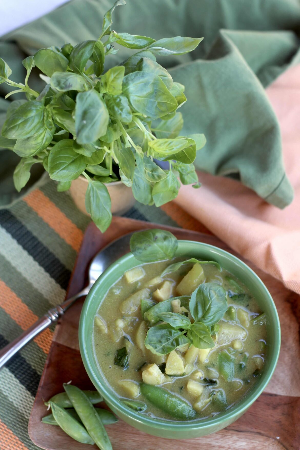 Spring Vegetable Curry Soup