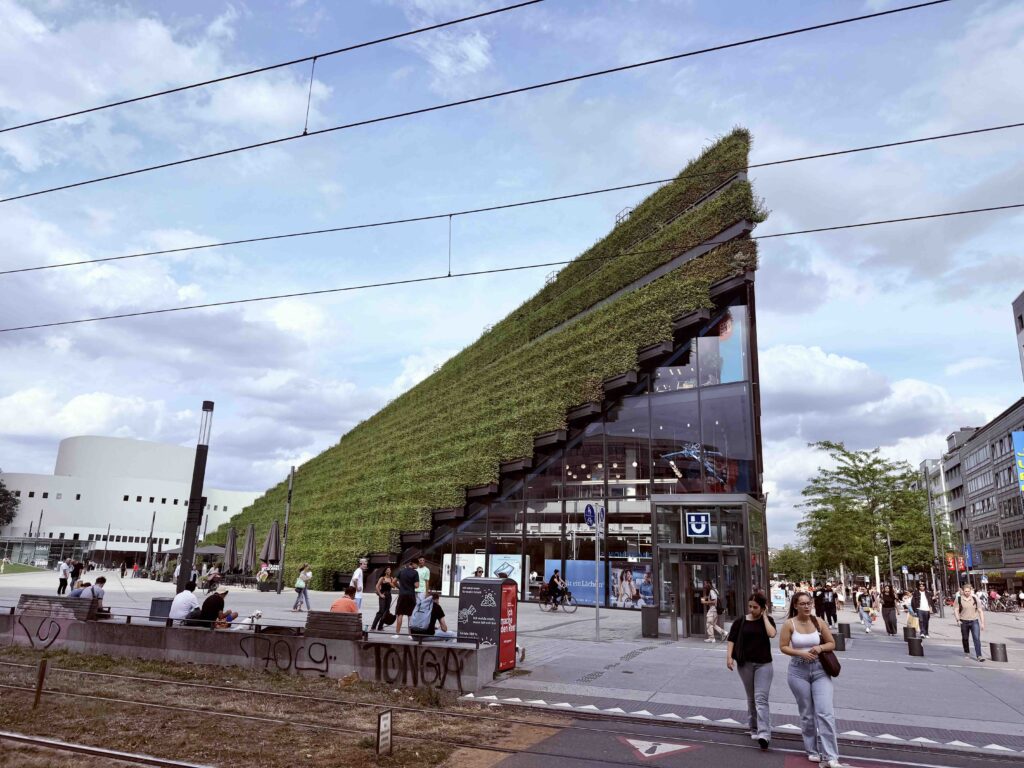 Düsseldorf's Diverse Museum Discoveries