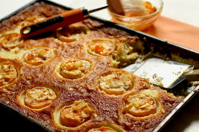 Apricot Almond Marzipan Cake