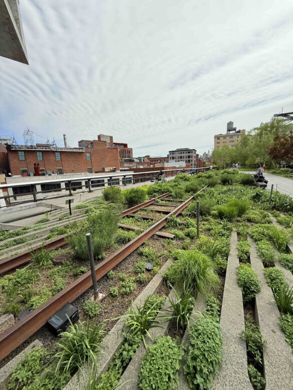 High-Line-NYC-2