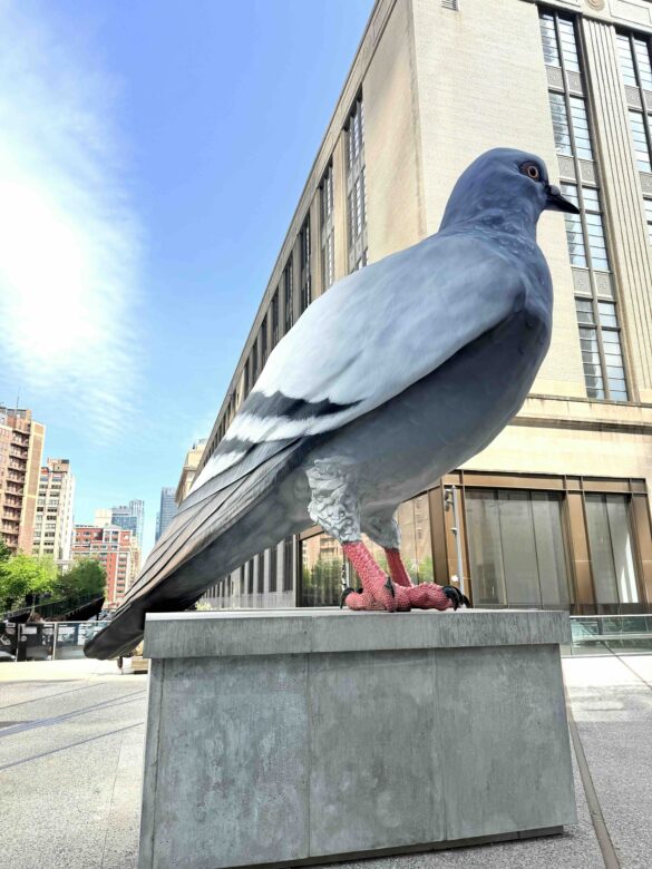Pigeon-Sculpture-High-Line-NYC