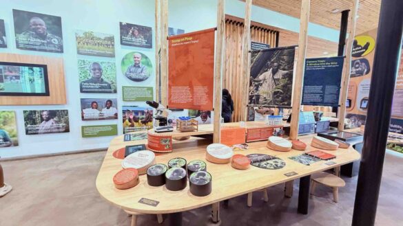 Ellen-Degeneres-Campus-Dian Fossey-Fund-14 Ellen Degeneres Campus Dian Fossey Fund Rwanda