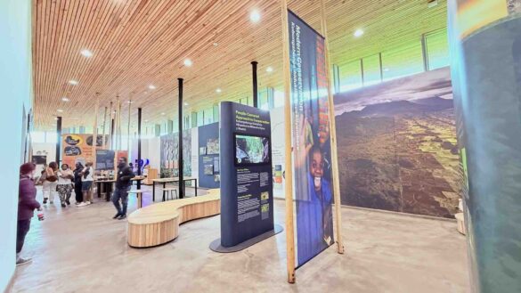Ellen-Degeneres-Campus-Dian Fossey-Fund-15 Ellen Degeneres Campus Dian Fossey Fund Rwanda