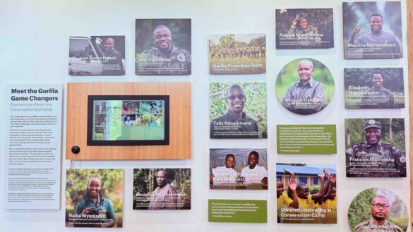 Ellen-Degeneres-Campus-Dian Fossey-Fund-16 Ellen Degeneres Campus Dian Fossey Fund Rwanda