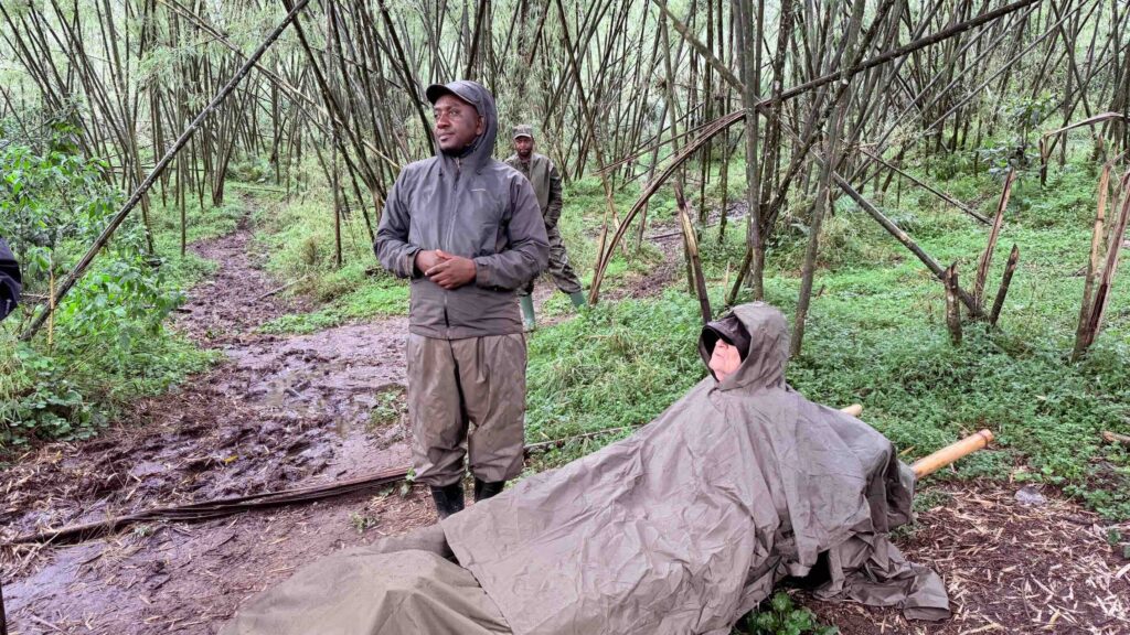 Mountain Gorilla Trekking Tips & Info Africak Helicopter