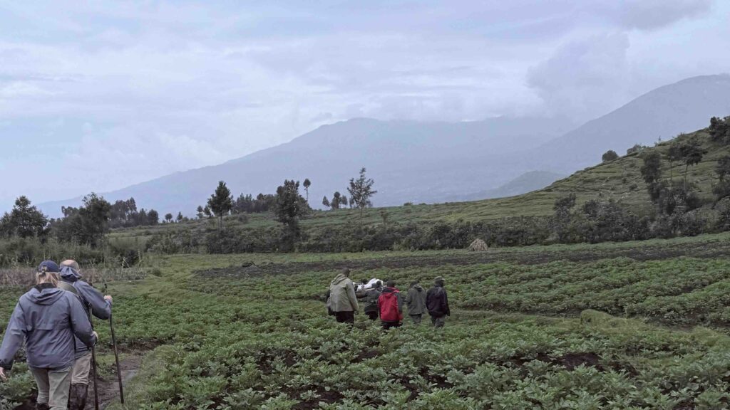 Mountain Gorilla Trekking Tips & Info