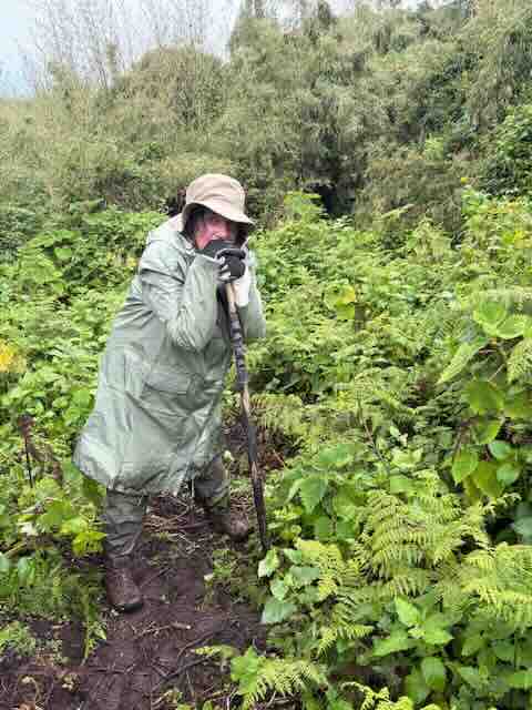 Mountain Gorilla Trekking Tips & info