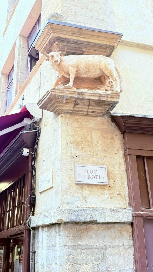 Lyon's Food, History & Resistance