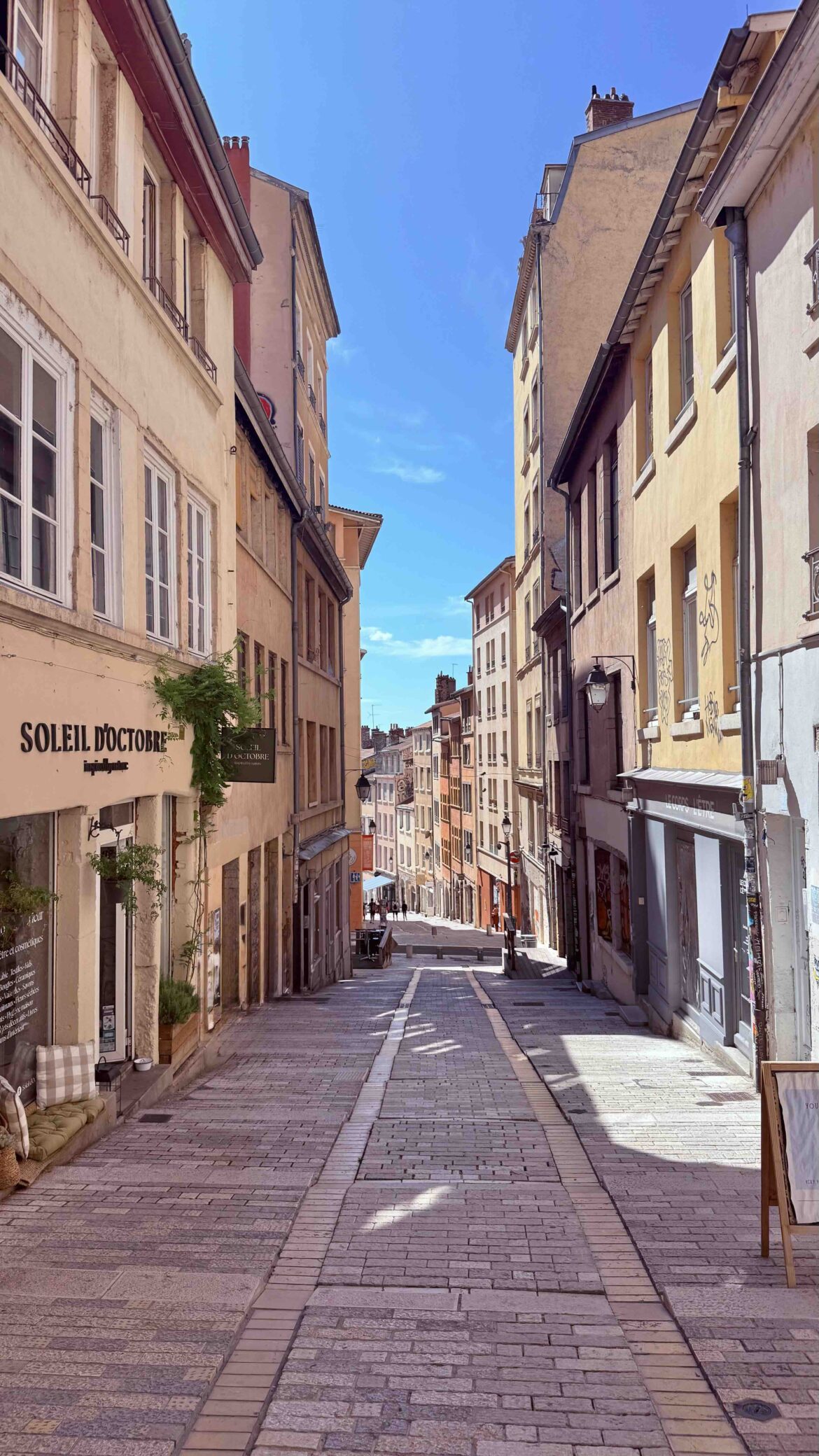 Lyon's Food, History & Resistance
